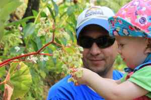 Loving looking at all the pretty plants 