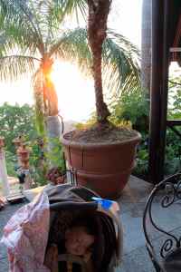 Sleeping through sunset